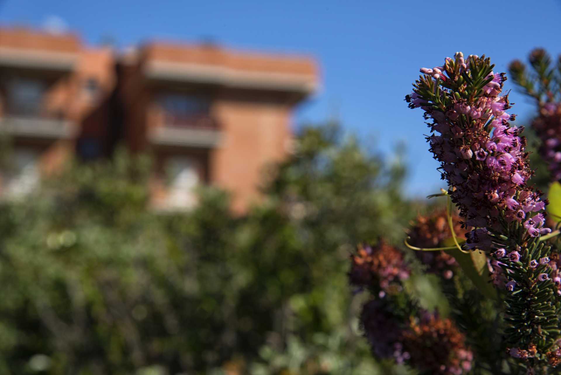 Urban nature WWF in via dell'Aquilone a Ostia